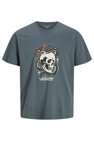 T-shirt jongens | GIKS