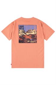 T-shirt jongens | GIKS