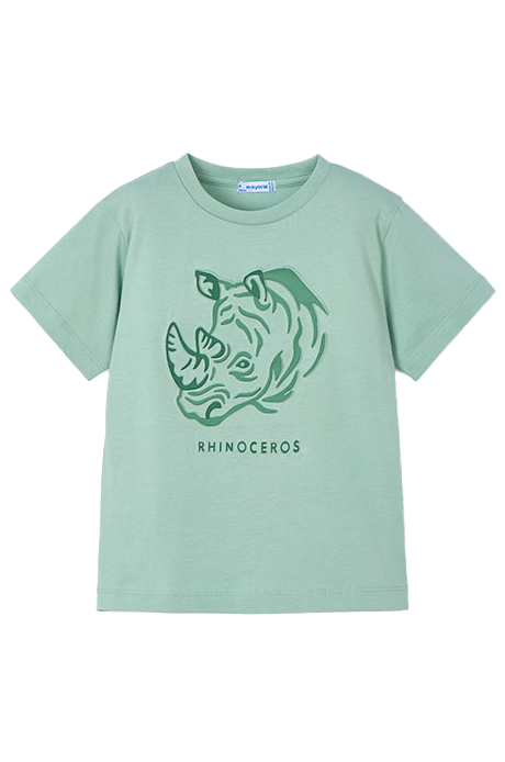 T-shirt jongens | GIKS