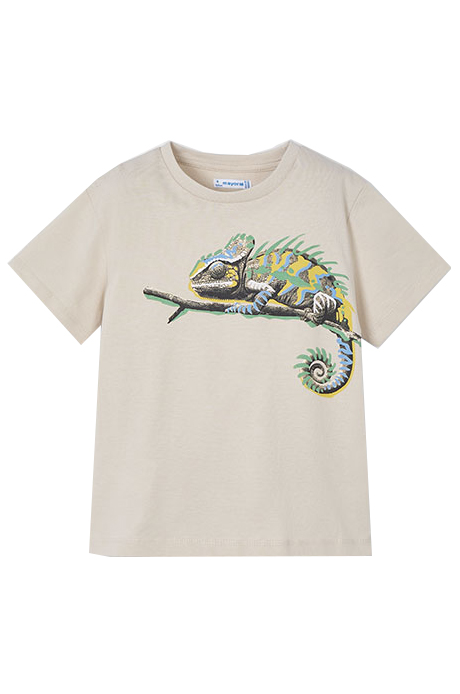 T-shirt jongens | GIKS