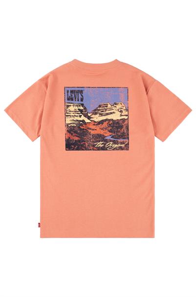 T-shirt jongens | GIKS