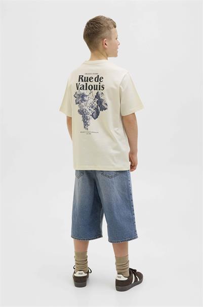 T-shirt jongens | GIKS