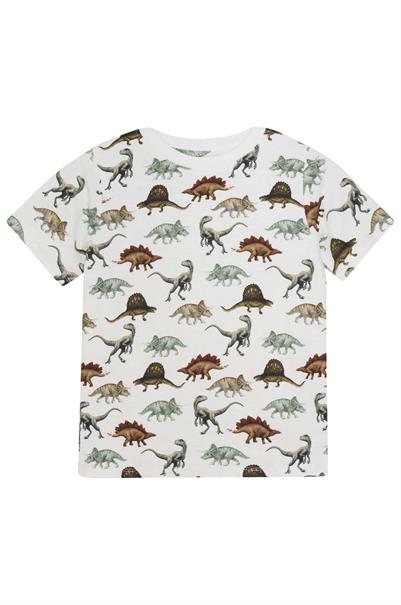 T-shirt jongens | GIKS