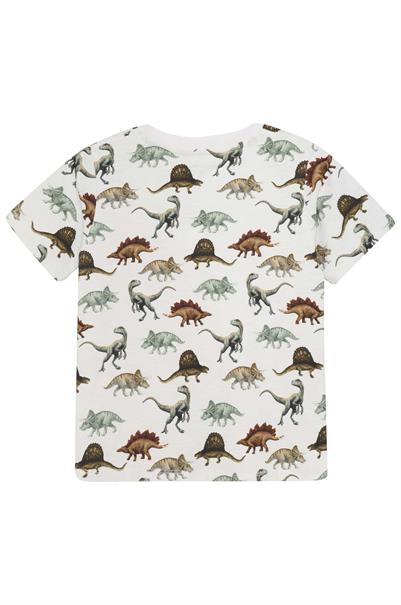 T-shirt jongens | GIKS