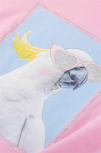 T-shirt meisjes | GIKS