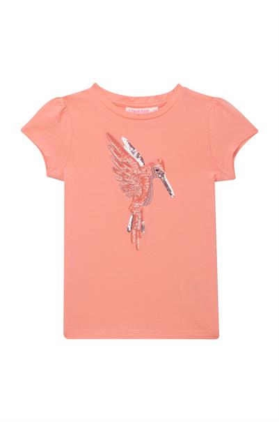 T-shirt meisjes | GIKS